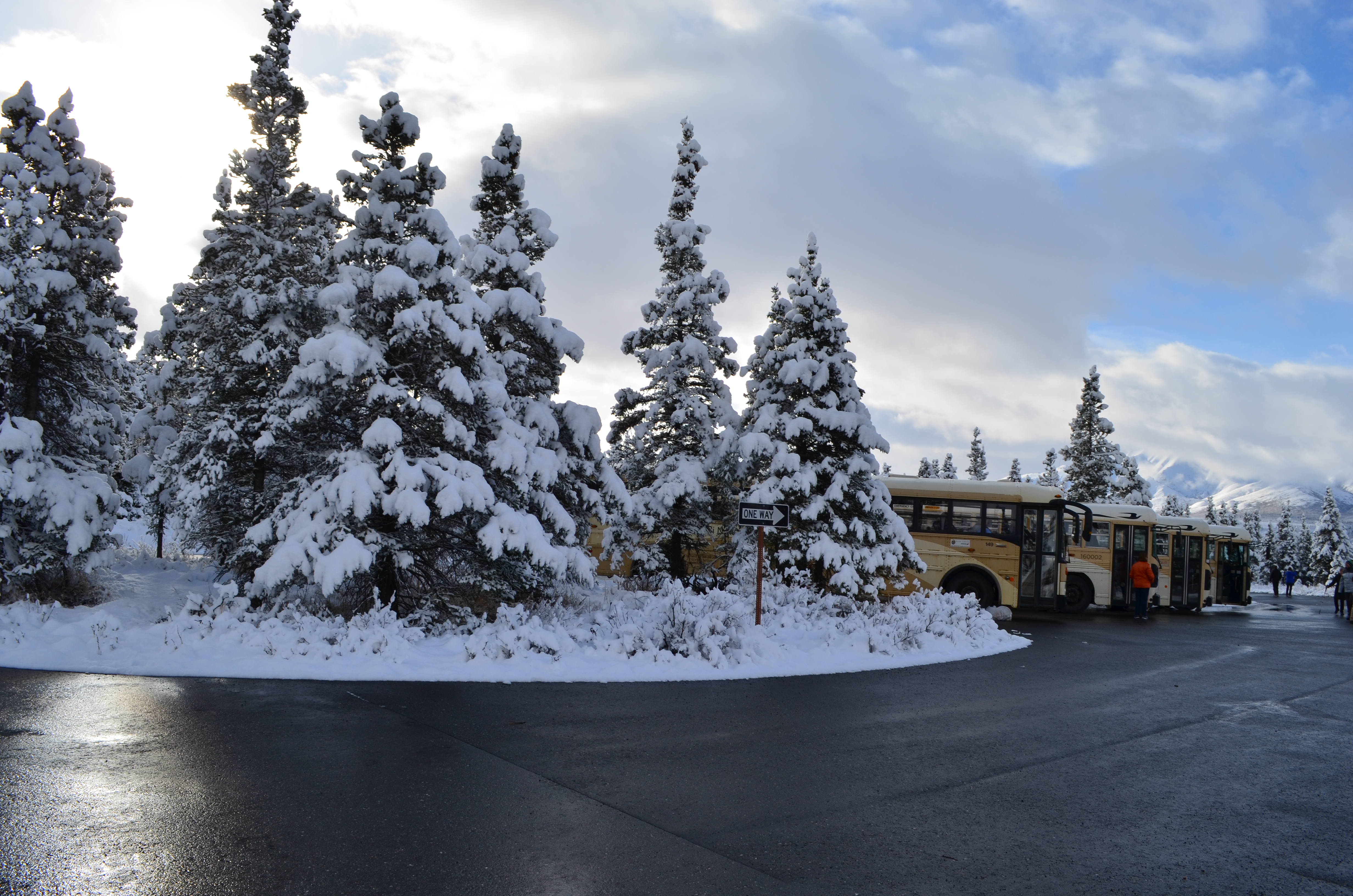 ./2017/08 - Alaska Cruise/03 - Denali/DSC_0248.JPG